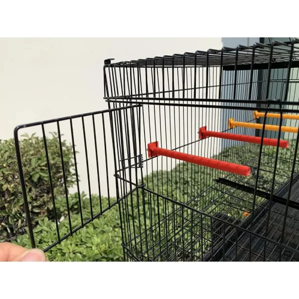 ParrotCrown.com 
